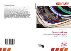 Capa do livro de Temascalcingo 