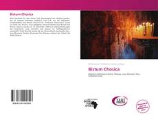 Bookcover of Bistum Chosica