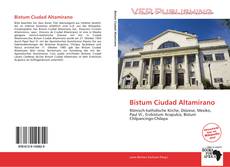 Bistum Ciudad Altamirano的封面