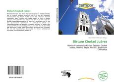 Bookcover of Bistum Ciudad Juárez