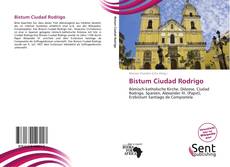 Capa do livro de Bistum Ciudad Rodrigo 