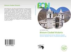 Bookcover of Bistum Ciudad Victoria