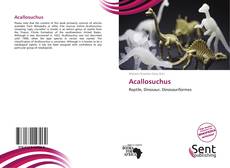 Capa do livro de Acallosuchus 