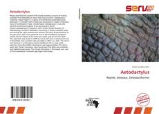 Aetodactylus的封面