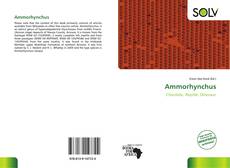 Bookcover of Ammorhynchus