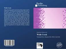 Bookcover of Wells Creek