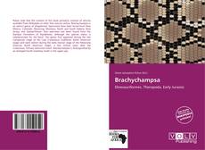 Capa do livro de Brachychampsa 