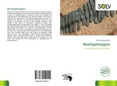 Bookcover of Brachypterygius