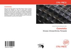 Bookcover of Camelotia