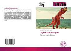 Bookcover of Captorhinomorpha