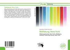 Portada del libro de Wellsburg, New York