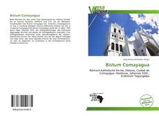 Buchcover von Bistum Comayagua