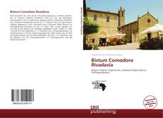 Portada del libro de Bistum Comodoro Rivadavia