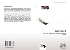 Buchcover von Wellswood