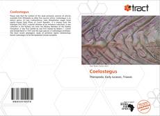 Portada del libro de Coelostegus