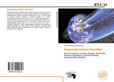 Capa do livro de Superabundant Number 