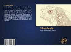 Bookcover of Coloborhynchus