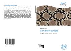 Bookcover of Comahuesuchidae