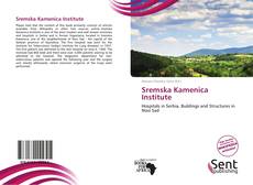 Capa do livro de Sremska Kamenica Institute 