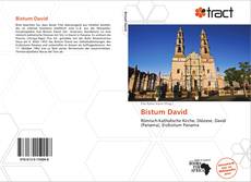 Portada del libro de Bistum David