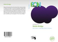 Buchcover von Welsh Bridge