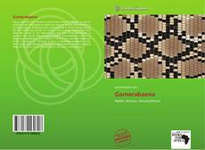 Capa do livro de Gamerabaena 