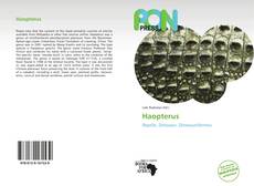 Buchcover von Haopterus