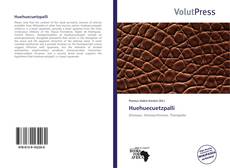 Bookcover of Huehuecuetzpalli