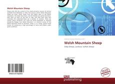 Welsh Mountain Sheep的封面