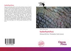 Copertina di Isalorhynchus