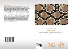 Capa do livro de Kambara 