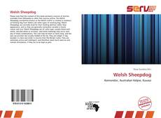 Buchcover von Welsh Sheepdog