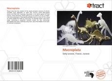 Bookcover of Macroplata