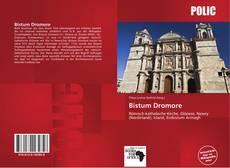 Bookcover of Bistum Dromore