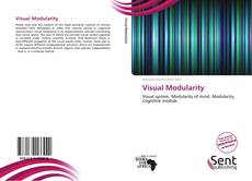 Couverture de Visual Modularity