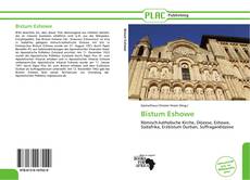 Portada del libro de Bistum Eshowe