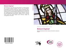 Bookcover of Bistum Espinal