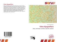 Capa do livro de Vitex Ajugaeflora 