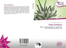 Couverture de Vitex Cofassus