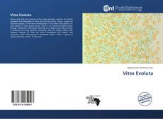 Copertina di Vitex Evoluta