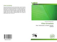 Capa do livro de Vitex Urceolata 