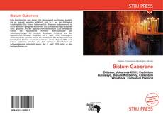 Bookcover of Bistum Gaborone