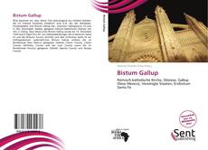 Capa do livro de Bistum Gallup 