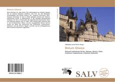 Bookcover of Bistum Gliwice