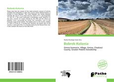 Bobrek-Kolonia kitap kapağı