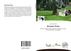 Capa do livro de Brzeska Wola 