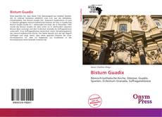 Portada del libro de Bistum Guadix