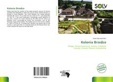Bookcover of Kolonia Brzeźce