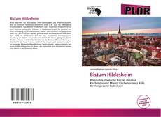 Bistum Hildesheim kitap kapağı