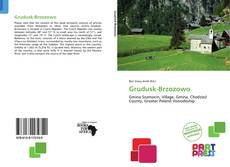 Copertina di Grudusk-Brzozowo